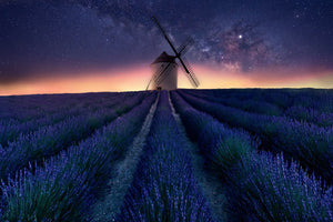 photo-wallpaper-lavender-night-x