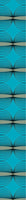 patterned-wallpaper-accounting
