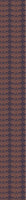 patterned-wallpaper-dotty-leaves