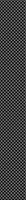 patterned-wallpaper-half-circle-riddle