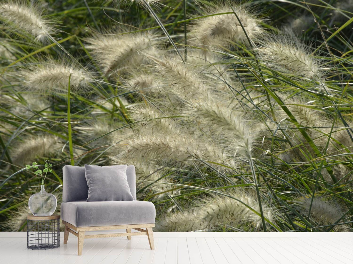 photo-wallpaper-ornamental-grass-in-the-wind
