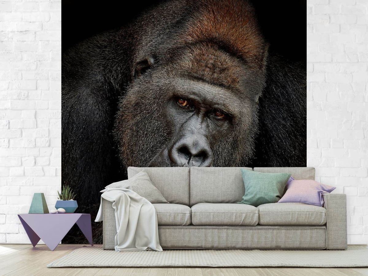 photo-wallpaper-one-moment-in-contact