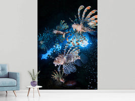 photo-wallpaper-star-hunt