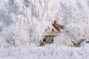 photo-wallpaper-winter-tale-x