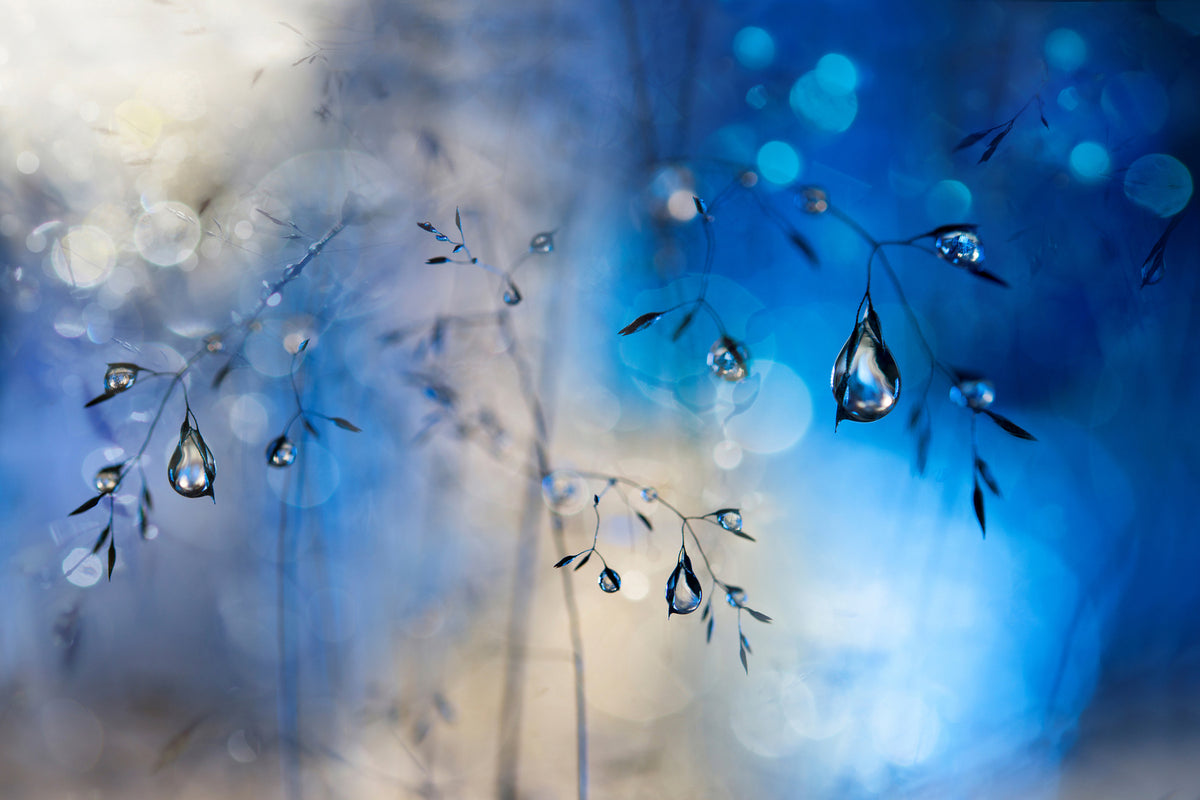 photo-wallpaper-blue-rain