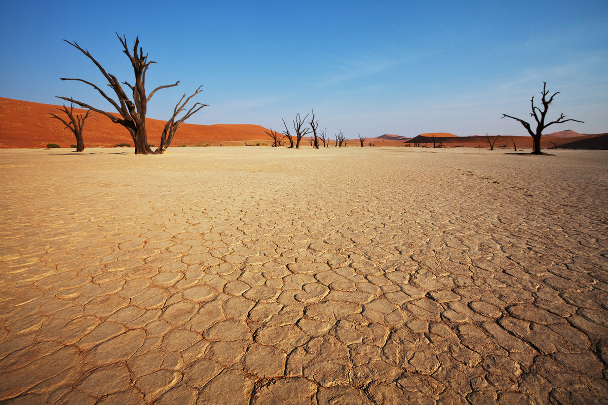 photo-wallpaper-desert