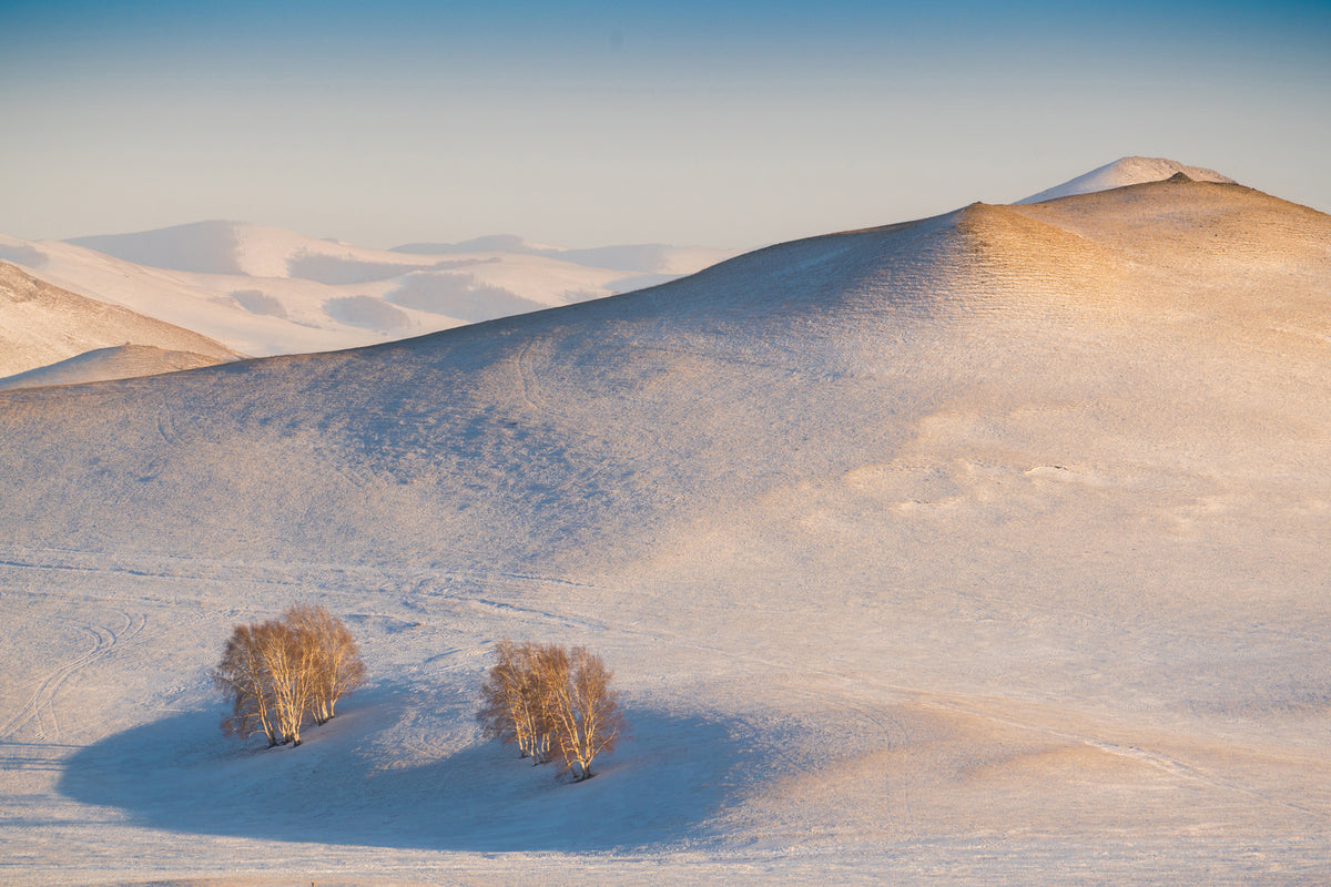 photo-wallpaper-cappuccino-land