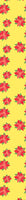 patterned-wallpaper-poinsettia-in-bloom