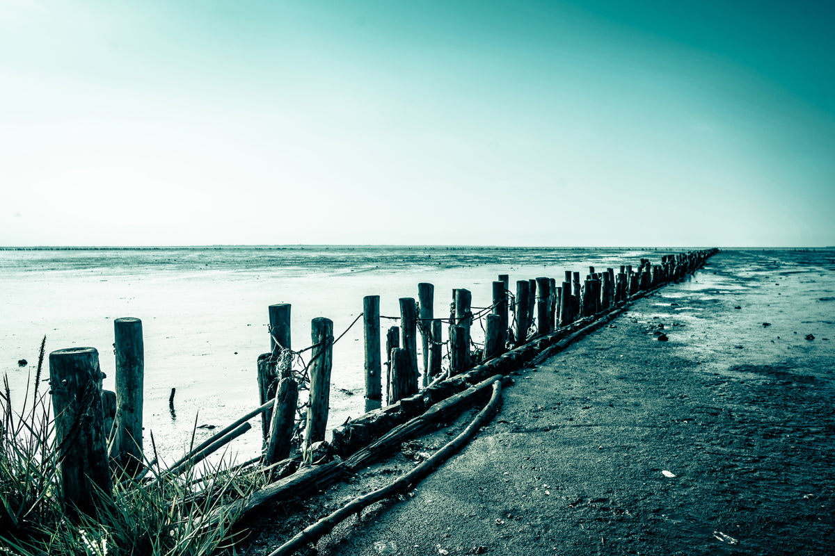 photo-wallpaper-mud-flats