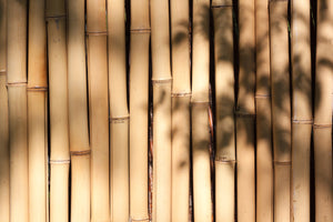 photo-wallpaper-natural-bamboo