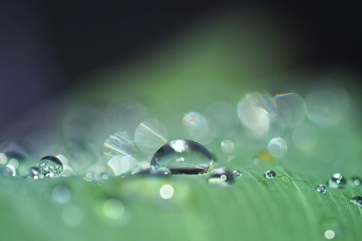 photo-wallpaper-drops-of-water-in-xxl