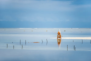 photo-wallpaper-low-tide