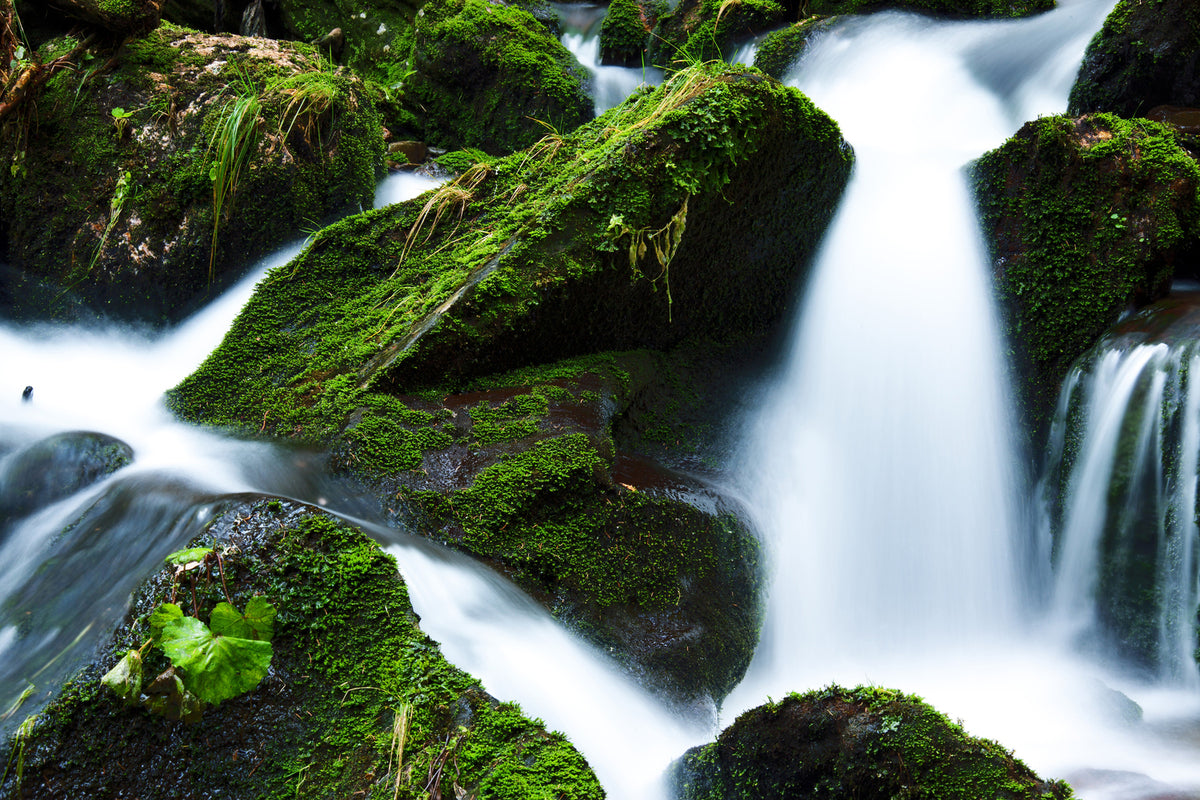 photo-wallpaper-wild-waterfall