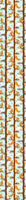 patterned-wallpaper-squirrel-party