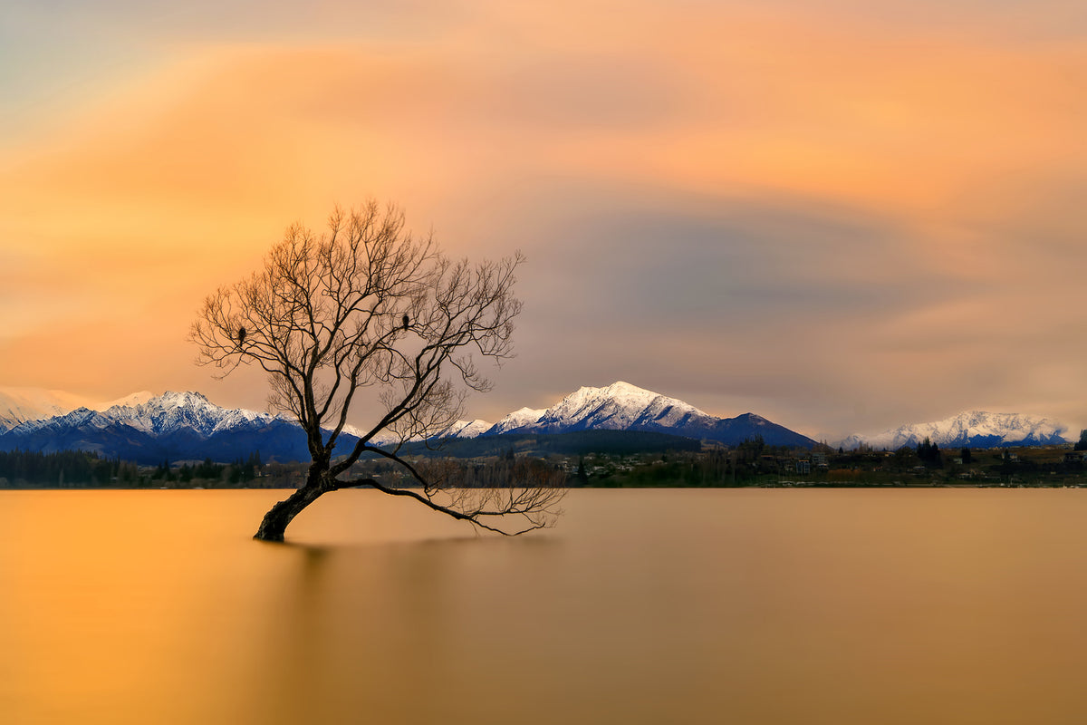 photo-wallpaper-morning-glow-of-the-lake-wanaka