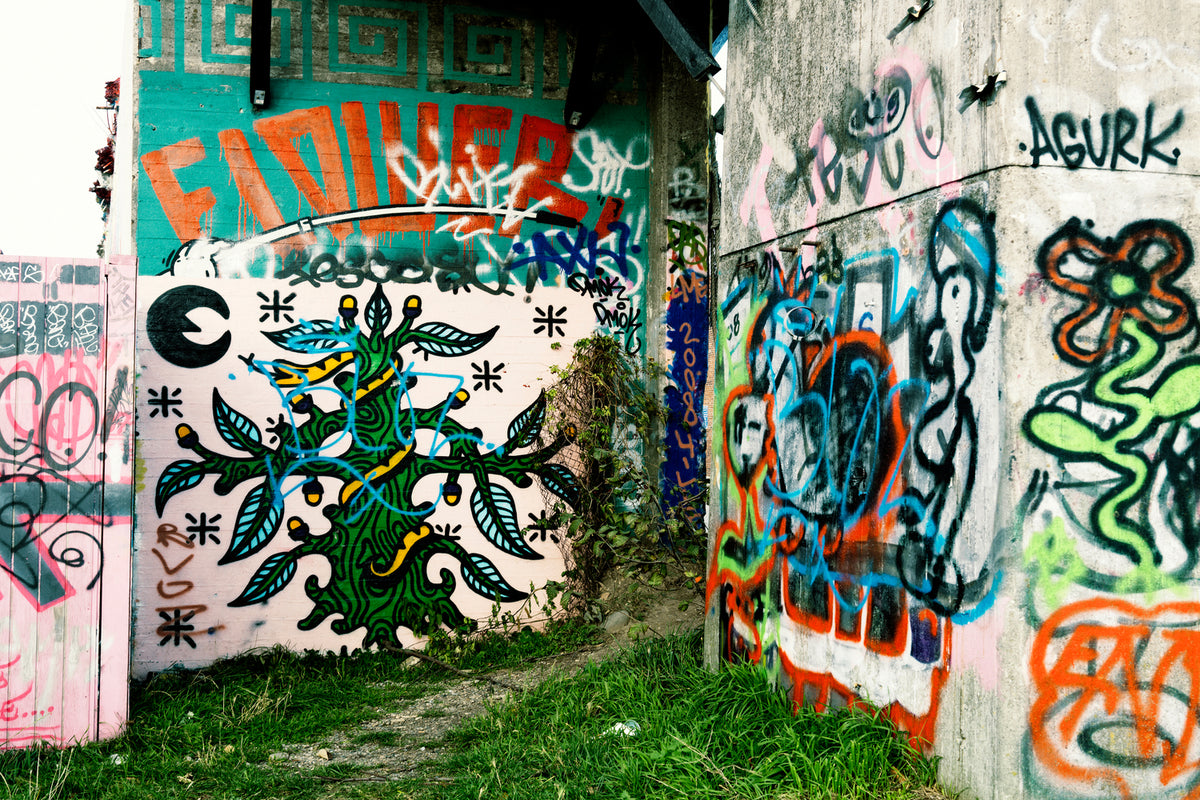 photo-wallpaper-graffiti-in-the-backyard