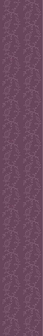 patterned-wallpaper-cinderella-aubergina