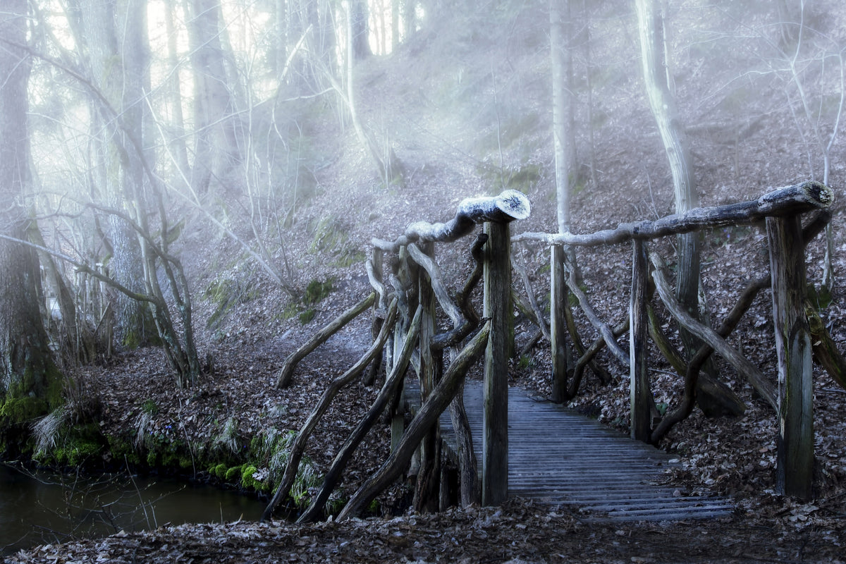 photo-wallpaper-old-wooden-bridge-in-the-forest