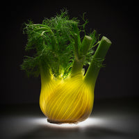 photo-wallpaper-fennel