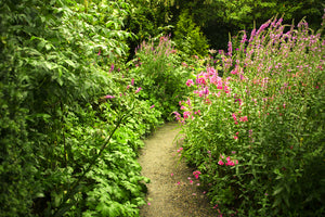 photo-wallpaper-garden-path