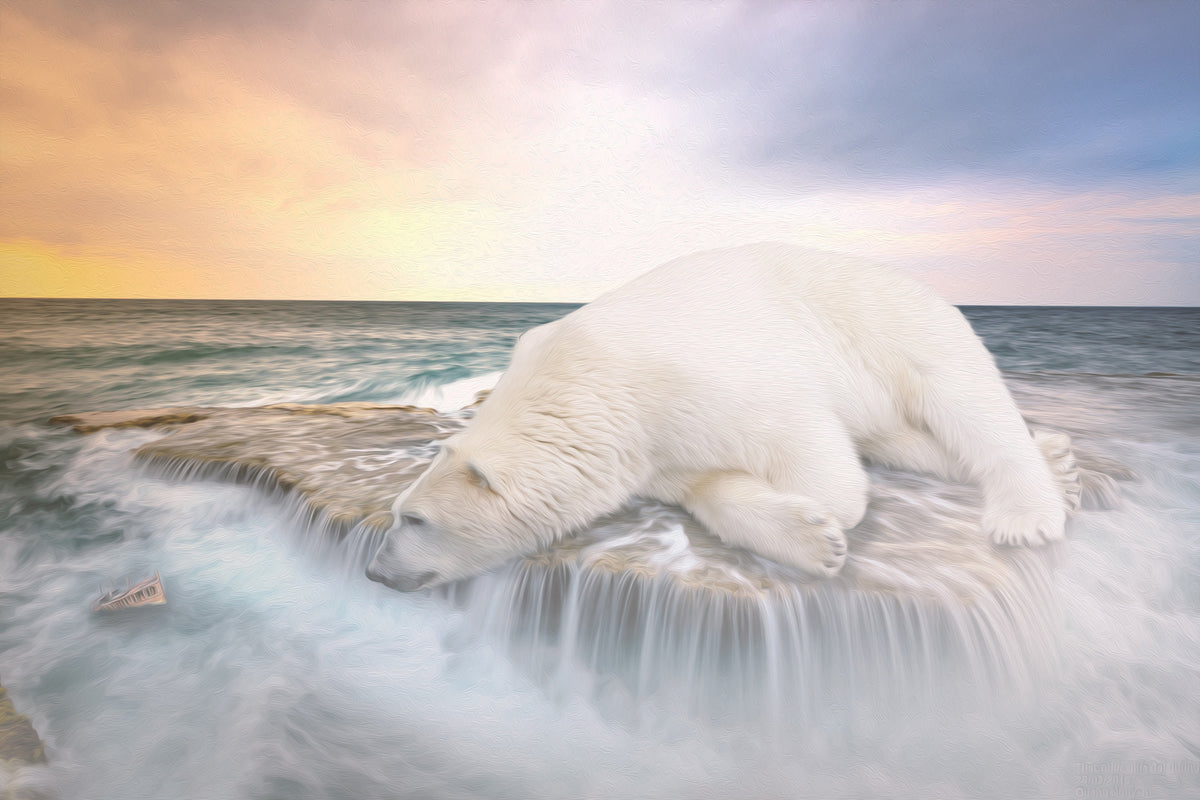 photo-wallpaper-the-polar-bear-and-the-sea