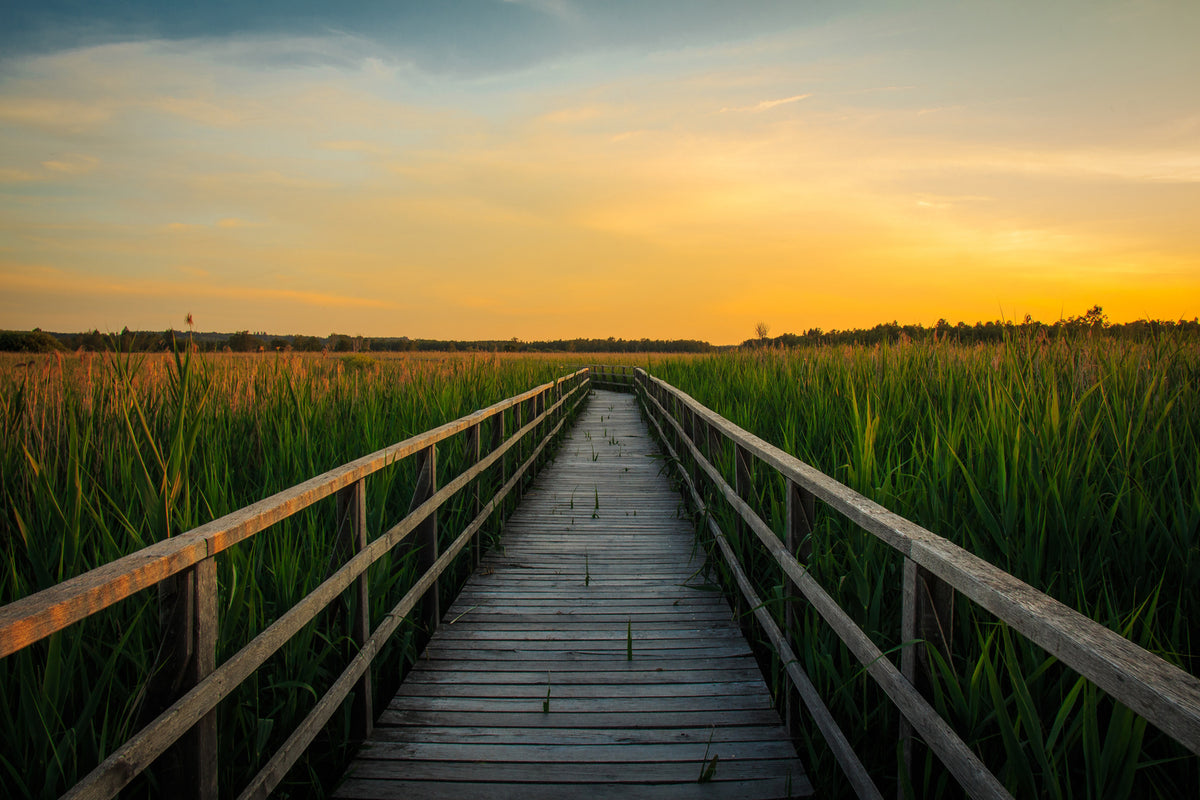 photo-wallpaper-sunset-in-the-fields