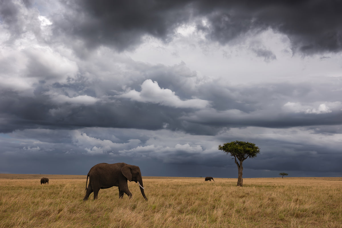 photo-wallpaper-african-sky-x