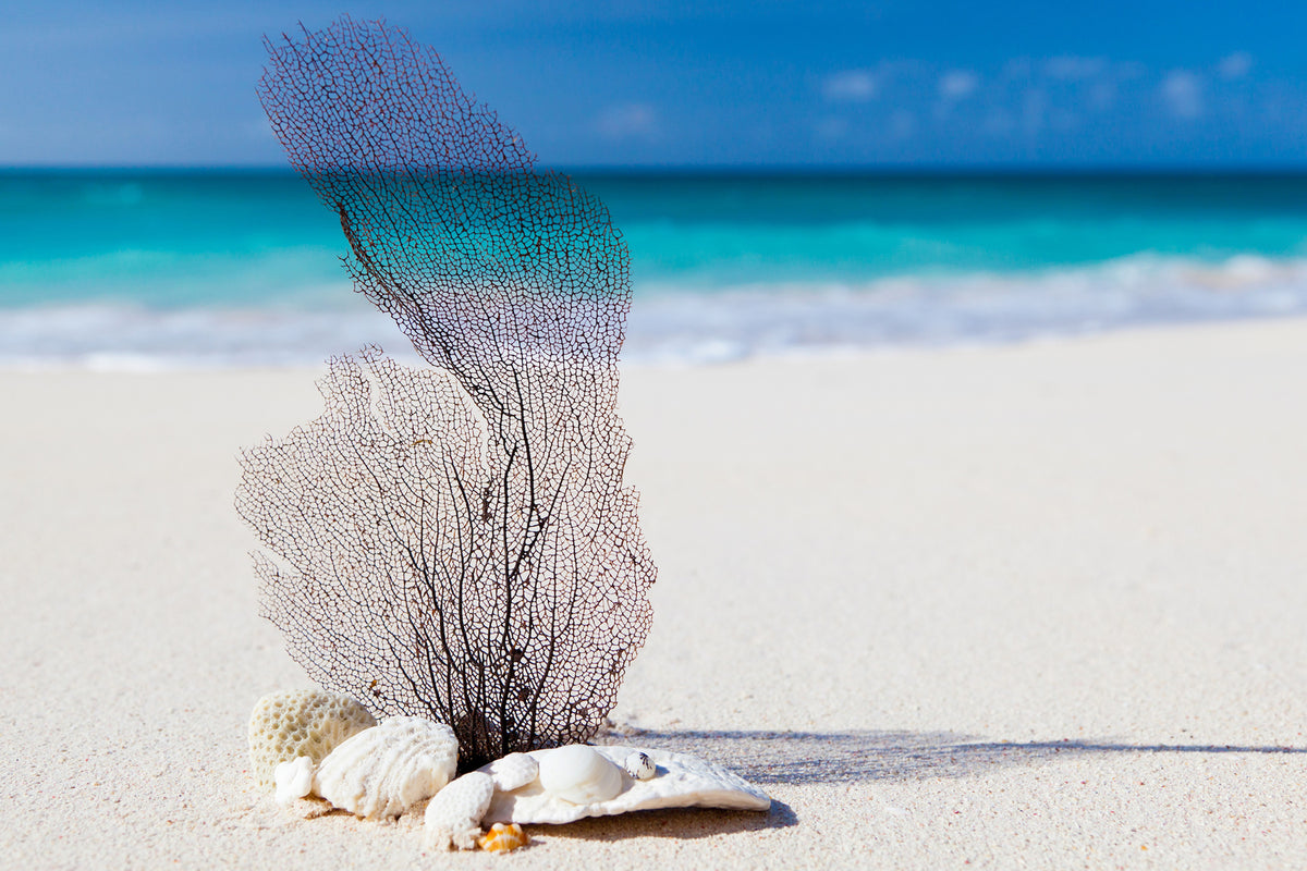 photo-wallpaper-beach-art