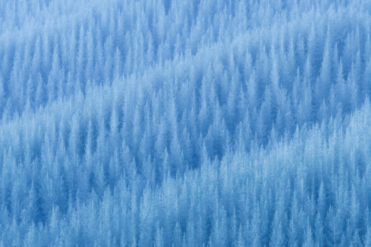 photo-wallpaper-winter-s-pattern-x