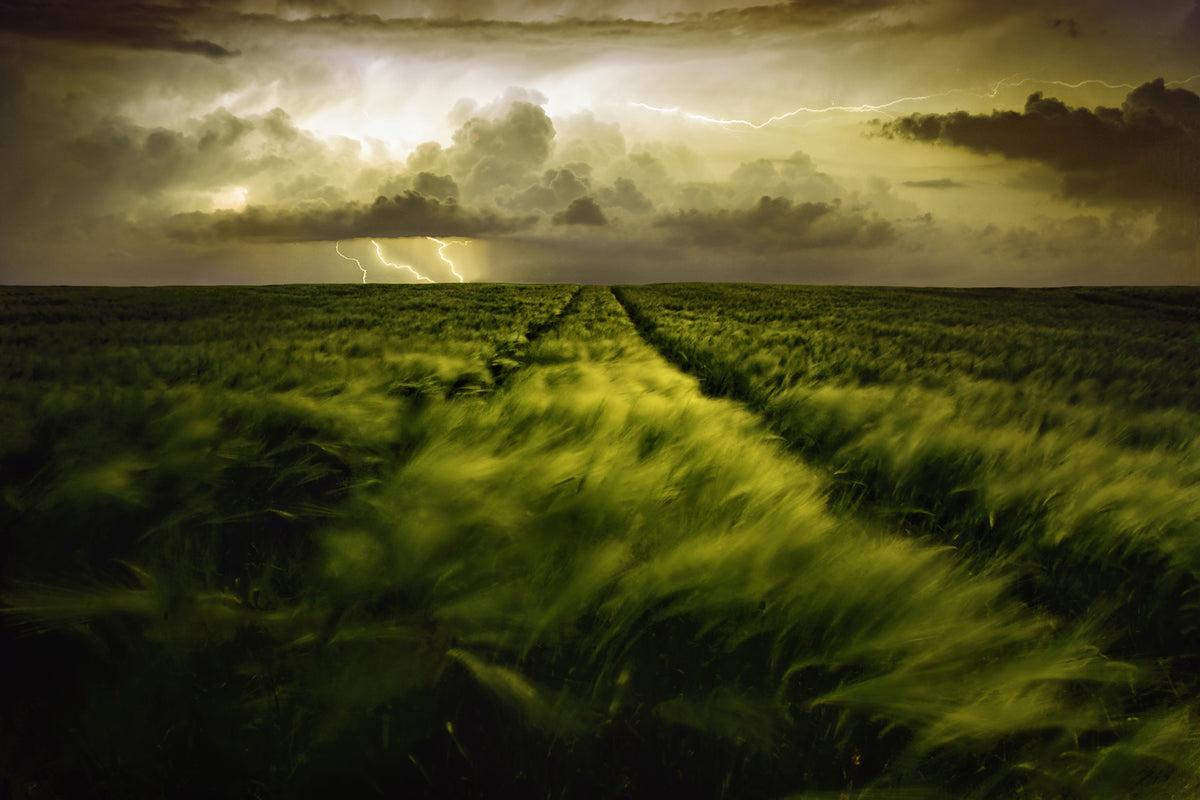 photo-wallpaper-journey-to-the-fierce-storm