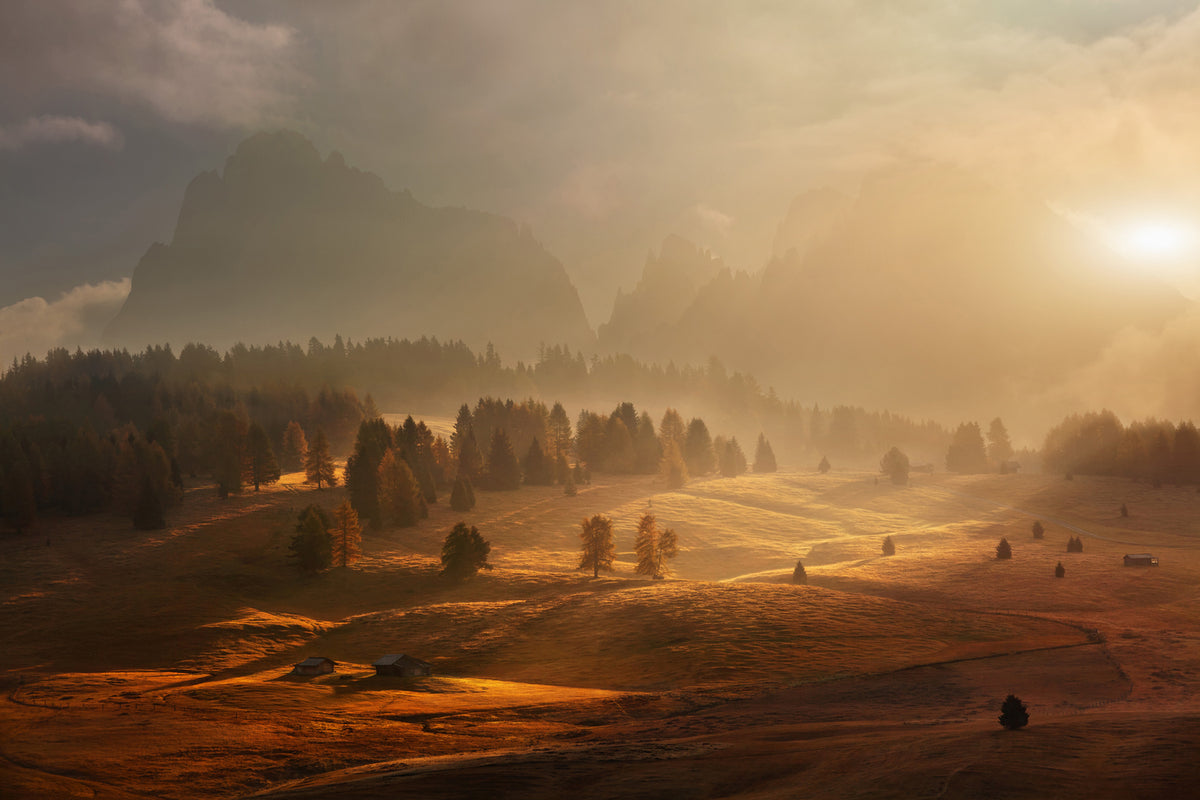 photo-wallpaper-morning-on-alpine-meadow-x