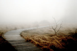 photo-wallpaper-dense-fog