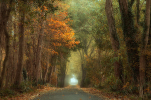 photo-wallpaper-country-road-x