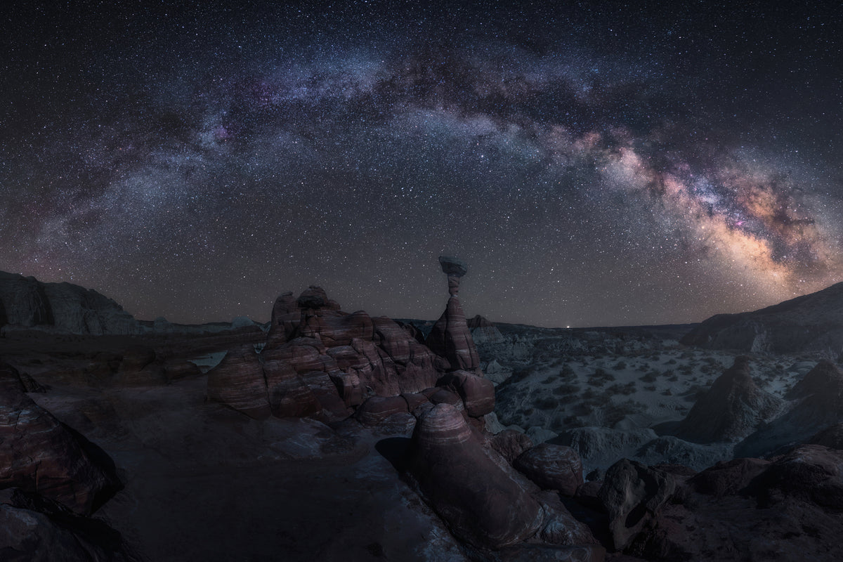 photo-wallpaper-toadstool-night