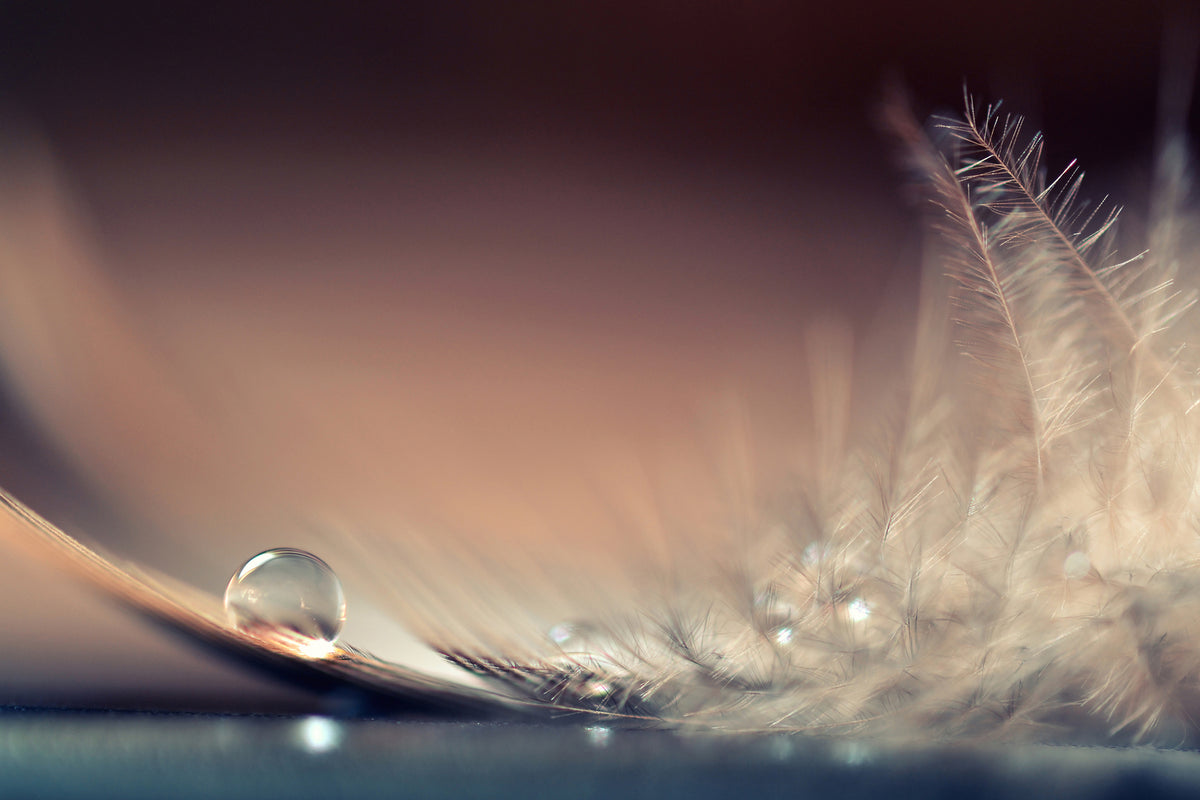 photo-wallpaper-stories-of-drops