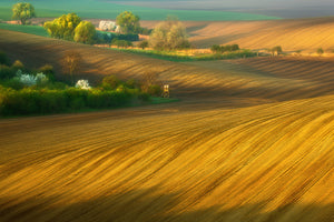 photo-wallpaper-fields-xxg