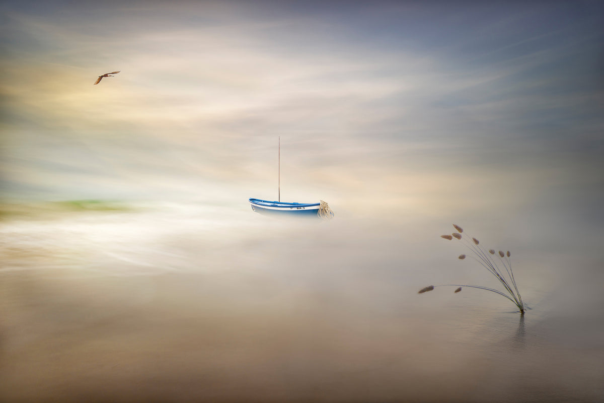 photo-wallpaper-dreaming-of-the-sea-x