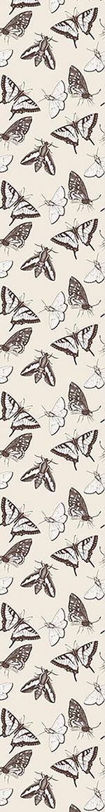 patterned-wallpaper-butterflies-and-moths