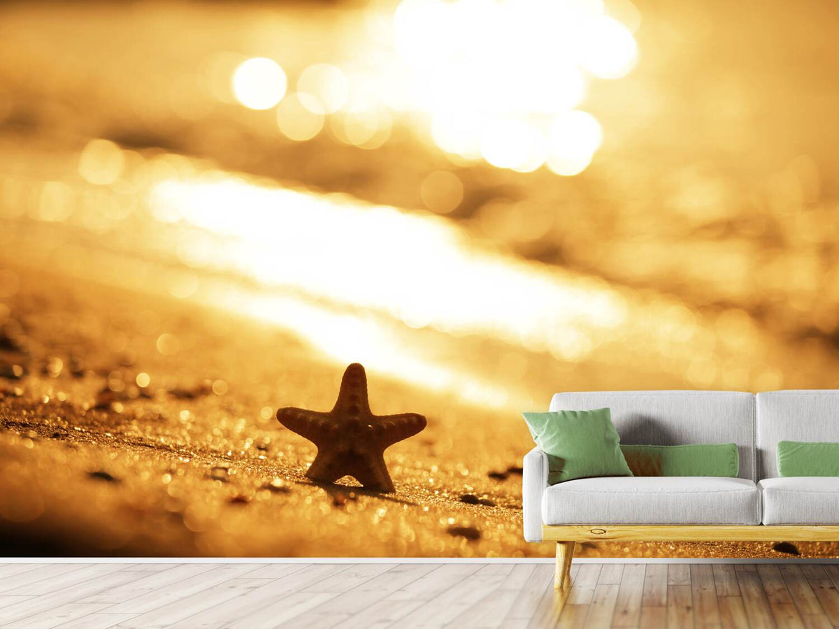 photo-wallpaper-the-starfish