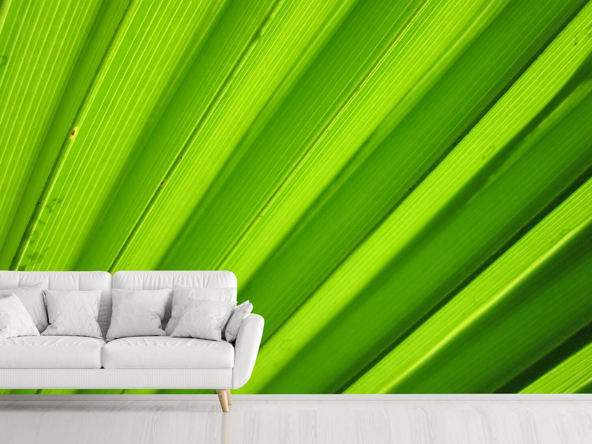 photo-wallpaper-palm-stripes-ii