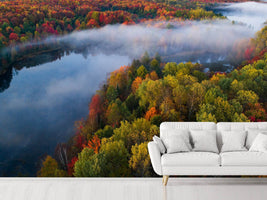 photo-wallpaper-autumn-symphony-ii-x