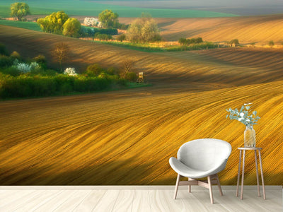 photo-wallpaper-fields-xxg