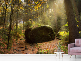 photo-wallpaper-the-rock-in-the-forest