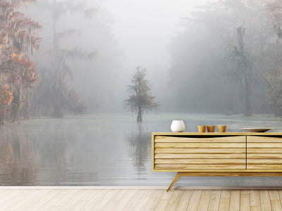 photo-wallpaper-misty-bayou-xkt