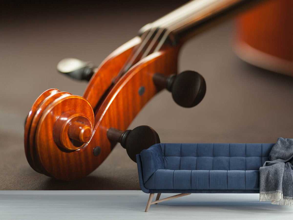 photo-wallpaper-close-up-violin