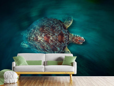 photo-wallpaper-valocity-turtle