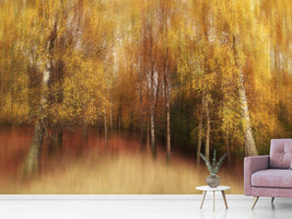 photo-wallpaper-autumn-impression-xvl