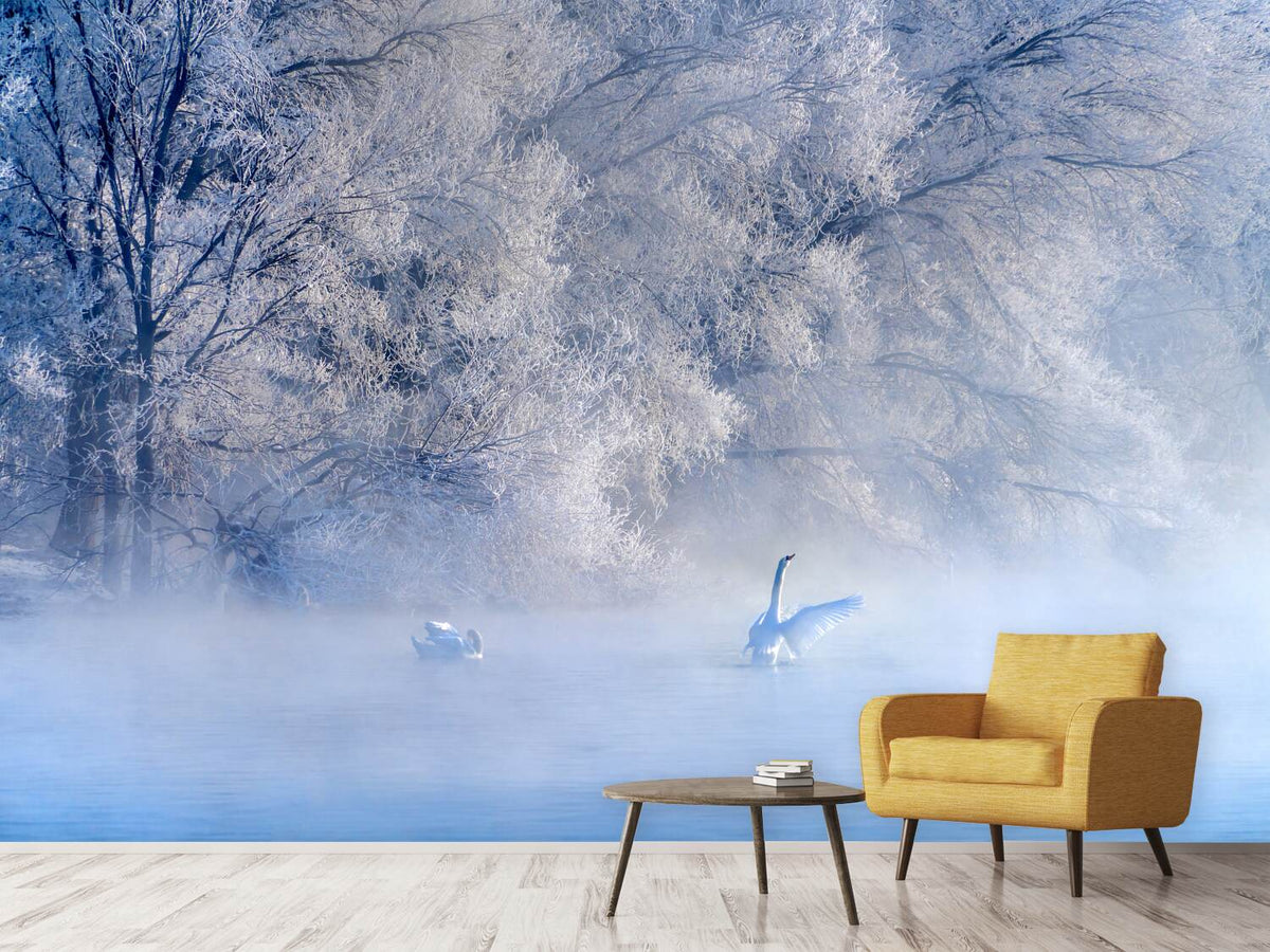 photo-wallpaper-swan-lake-x