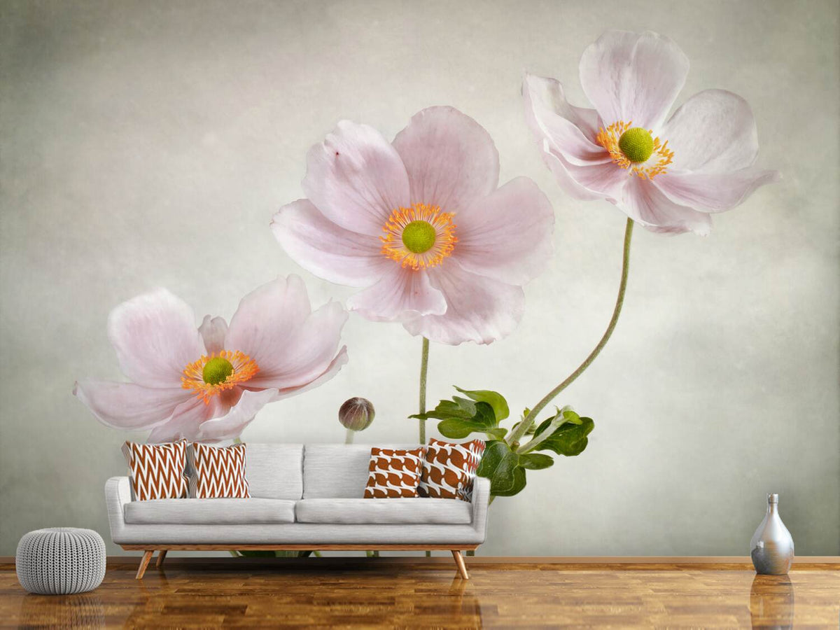 photo-wallpaper-anemones-ii