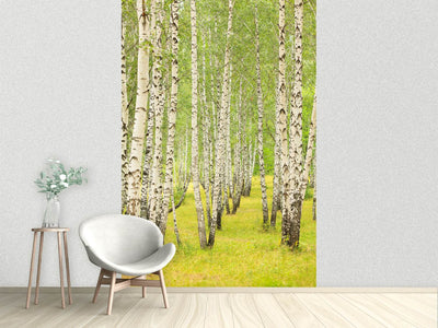 photo-wallpaper-the-birch-forest-in-late-summer